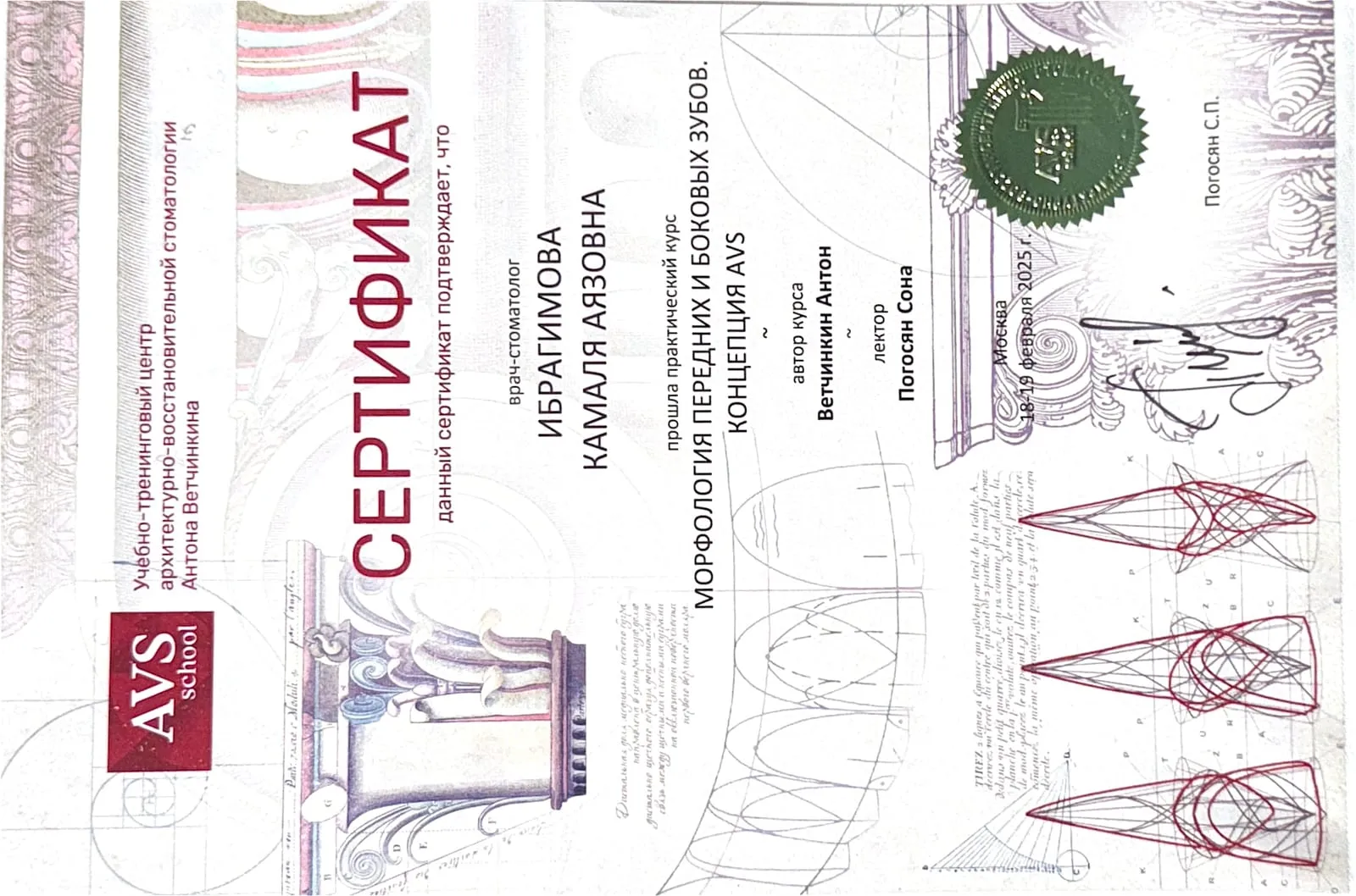 Сертификат: Морфология передних и боковых зубов, концепция AVS